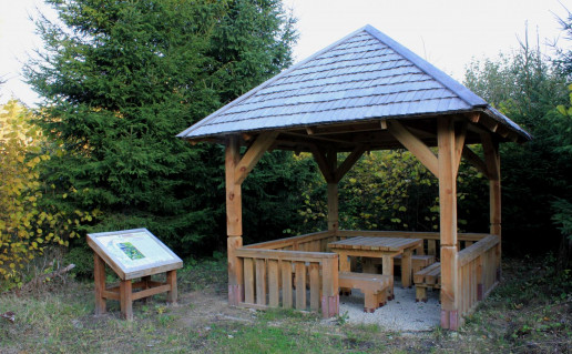 37_Poilsiavietė Didmargio.jpg